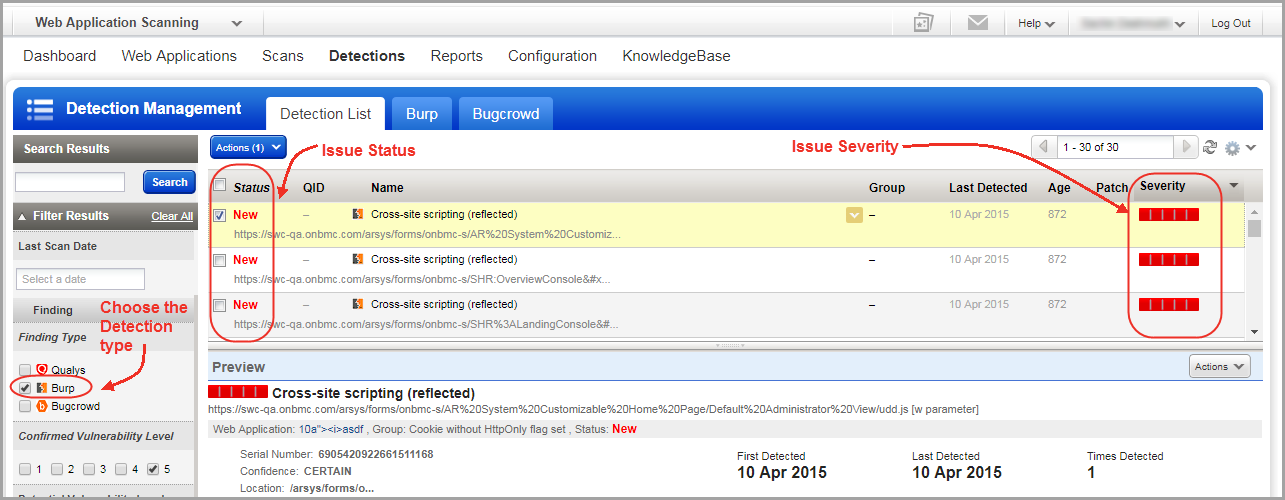 Using Burp filter to view burp issues in the detection list.